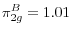  {\pi }^B_{2g}=1.01