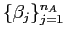  \{\beta_{j}\}_{j=1}^{n_{A}}