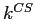  k^{CS}