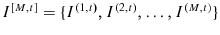  I^{[M,t]}=\{I^{(1,t)},I^{(2,t)},\ldots,I^{(M,t)}\}