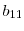  b_{11}
