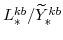  L^{kb}_{\ast}/\widetilde{Y}^{kb}_{\ast}