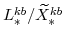  L^{kb}_{\ast}/\widetilde{X}^{kb}_{\ast}