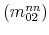  (m_{02}^{nn})