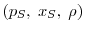  (p_S,\;x_S,\;\rho)