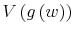  V\left( g\left( w\right) \right) 