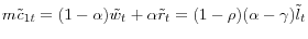 m\tilde {c}_{1t} =(1-\alpha )\tilde {w}_t +\alpha \tilde {r}_t =(1-\rho )(\alpha -\gamma )\tilde {l}_t 