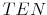  TEN