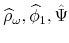  \widehat{% \rho }_{\omega },\widehat{\phi }_{1},\hat{\Psi}