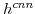  h^{cnn}