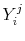  Y_i^{j}