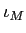  \iota_{M}