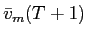  \bar{v}_{m}(T+1)