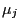 \mu _j 