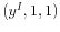  (y^{I},1,1)