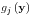 g_j \left( {\rm {\bf y}} \right)