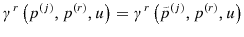 \displaystyle \gamma^{r}\left( p^{\left( j\right) },p^{\left( r\right) }{,u}\right) =\gamma^{r}\left( \tilde{p}^{\left( j\right) },p^{\left( r\right) }% {,u}\right) 