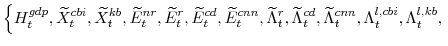 \displaystyle \left\{H^{gdp}_{t}, \widetilde{X}^{cbi}_{t},\widetilde{X}^{kb}_{t}, \widetilde{E}^{nr}_{t},\widetilde{E}^{r}_{t}, \widetilde{E}^{cd}_{t}, \widetilde{E}^{cnn}_{t}, \widetilde{\Lambda}^{r}_{t},\widetilde{\Lambda}^{cd}_{t},\widetilde{\Lambda}^{cnn}_{t}, \Lambda^{l,cbi}_{t},\Lambda^{l,kb}_{t}, \right.