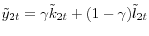 \tilde {y}_{2t} =\gamma \tilde {k}_{2t} +(1-\gamma )\tilde {l}_{2t} 