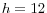 h=12