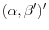 (\alpha ,\beta ')'