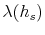  \lambda(h_{s})