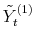  \tilde{Y}_{t}^{(1)}