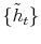  \{\tilde{h}_{t}\}