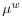 \mu^{w}