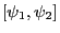 \left[ {\psi _1 ,\psi _2 } \right]