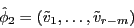 \begin{displaymath} \hat {\phi }_2 =\left( {\tilde {v}_1 ,\ldots ,\tilde {v}_{r-m} } \right) \end{displaymath}