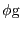 \phi {\rm g}