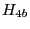 H_{4b} 