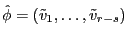 \hat {\phi }=\left( {\tilde {v}_1 ,\ldots ,\tilde {v}_{r-s} } \right)