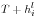 T+h_i^l 
