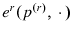  e^{r}(p^{\left( r\right) },\,\cdot\,)