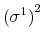  \left( \sigma^{1}\right) ^{2}
