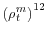  \left( \rho_{t}^{m}\right) ^{12}