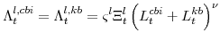 \displaystyle \Lambda^{l,cbi}_{t}=\Lambda^{l,kb}_{t}=\varsigma^{l} \Xi^{l}_{t}\left(L^{cbi}_{t}+L^{kb}_{t} \right)^{\nu}