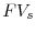  FV_{s}