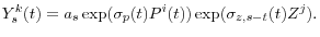 \displaystyle Y_{s}^{k}(t)=a_{s}\exp(\sigma_{p}(t)P^{i}(t))\exp(\sigma_{z,s-t}(t)Z^{j}). 