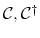  {\mathcal C}, {\mathcal C}^{\dag }