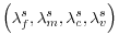  \left( \lambda_{f}% ^{s},\lambda_{m}^{s},\lambda_{c}^{s},\lambda_{v}^{s}\right) 