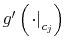  g^{\prime}\left( \left. \cdot\right\vert _{c_{j}% }\right) 