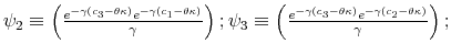  \psi_{2}\equiv\left( \frac{e^{-\gamma\left( c_{3}-\theta \kappa\right) }e^{-\gamma\left( c_{1}-\theta\kappa\right) }}{\gamma }\right) ;\psi_{3}\equiv\left( \frac{e^{-\gamma\left( c_{3}-\theta \kappa\right) }e^{-\gamma\left( c_{2}-\theta\kappa\right) }}{\gamma }\right) ;