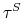  \tau^{S}