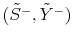  (\tilde{S}% ^{-},\tilde{Y}^{-})
