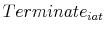  Terminate_{iat}