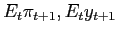 $ E_{t}\pi_{t+1},E_{t}y_{t+1}$