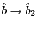$ \hat{b}\rightarrow\hat{b}_{2}$